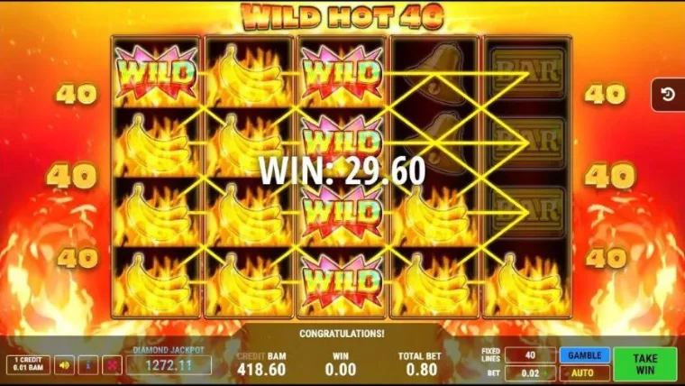 Wild Hot 40: vista del juego